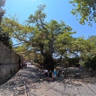 DCIM100GOPROGOPR0733.JPG