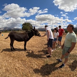 DCIM101GOPROGOPR1265.JPG