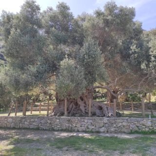 IMG_20220427_105203