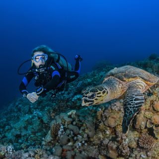 Presentation-Dive Image (10)
