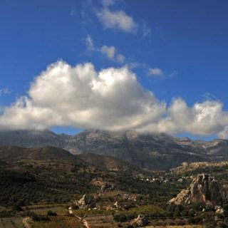 prinias_1030_560_01