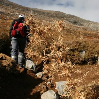 psiloritis-traverse-nida-to-lakos-mygerou-photo-6