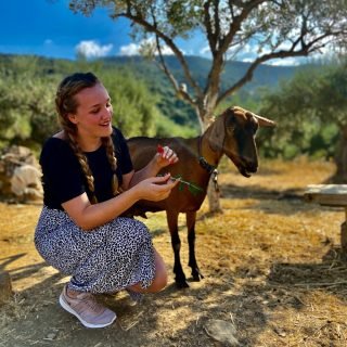 safari-experts-crete