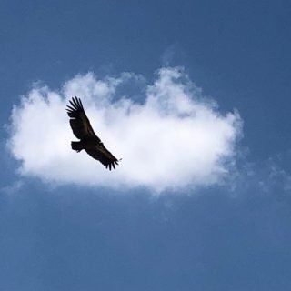 Αντίγραφο του IMG-20210612-WA0009