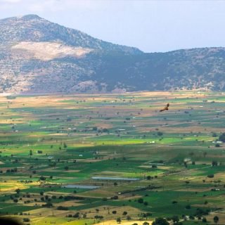 Αντίγραφο του Αντίγραφο του 2022-01-31-14-28-22-198