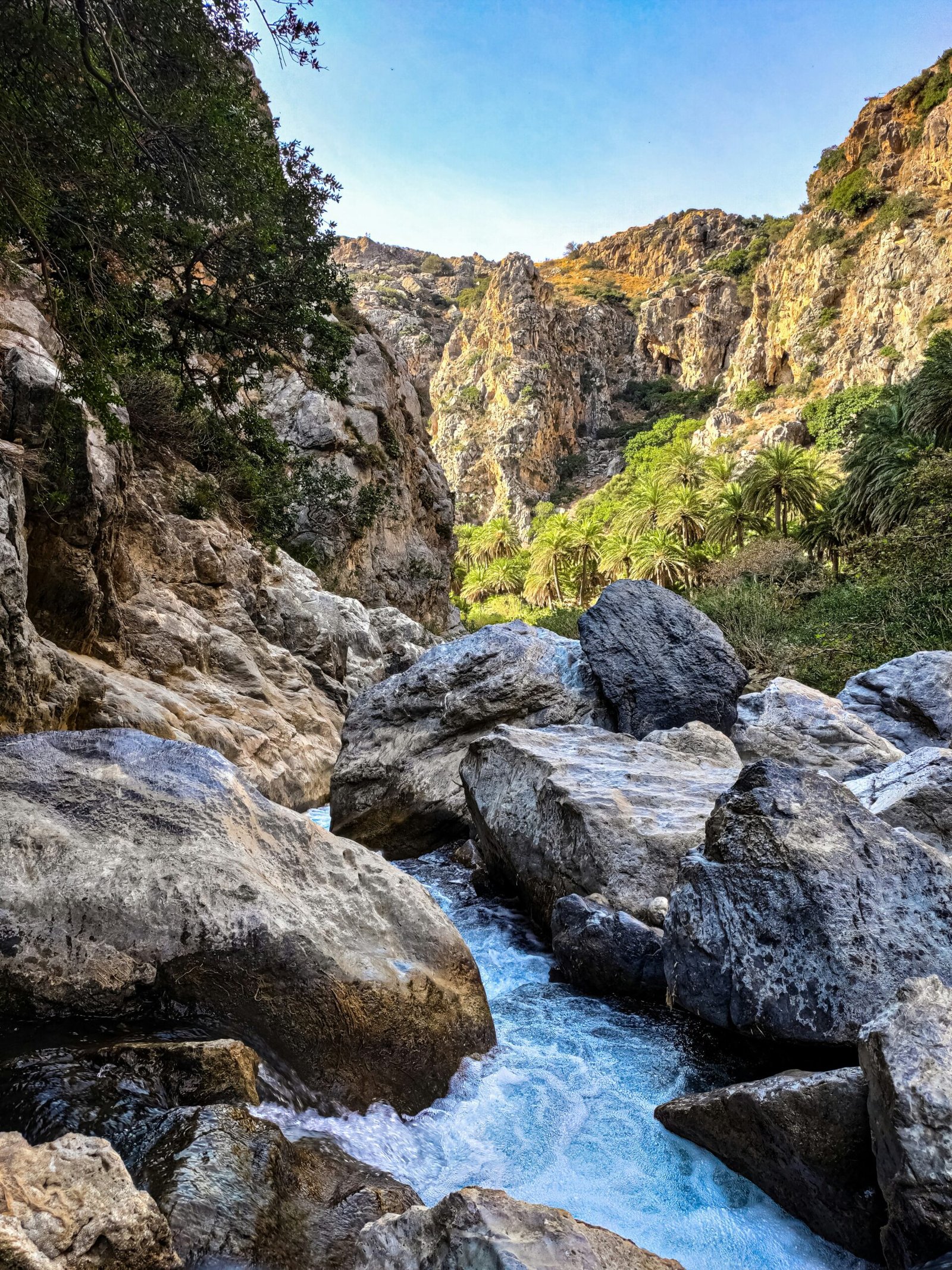 joshua-kettle-dWcpnUZyQU4-unsplash